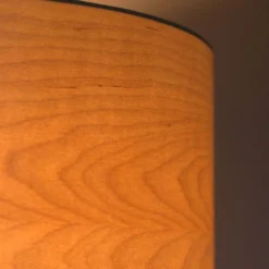 Veneer Lámpara De Techo Ø55 Alder - Envostar -Mejor Iluminación Tienda 42519117334263