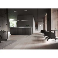 Inlay Round C2 Lámpara De Techo Matt Black/Satin Silver - Light-Point -Mejor Iluminación Tienda 5711389001094 5